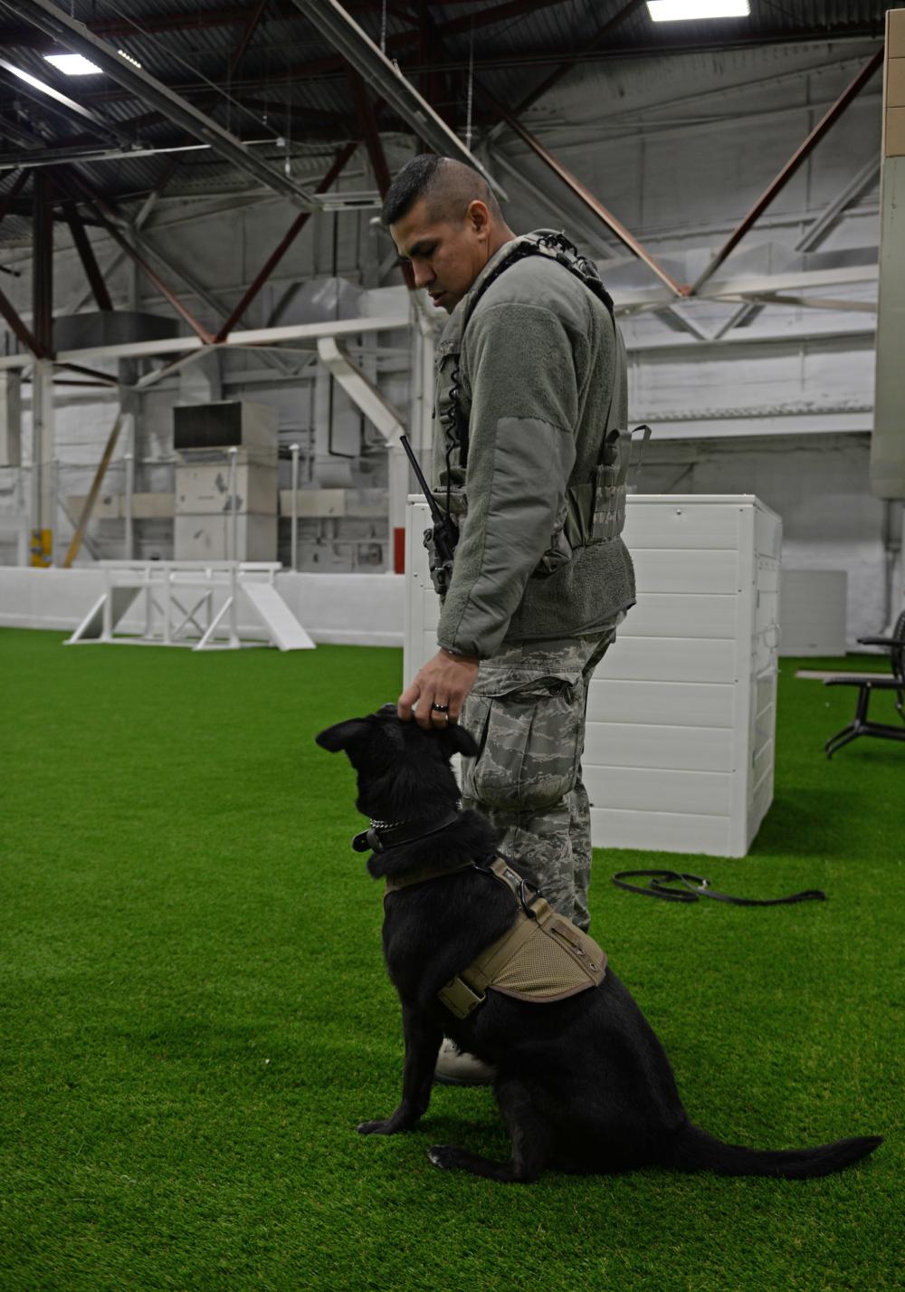 Mwd training course in houston